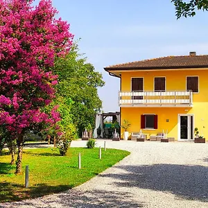 Yard 151 Noventa di Piave